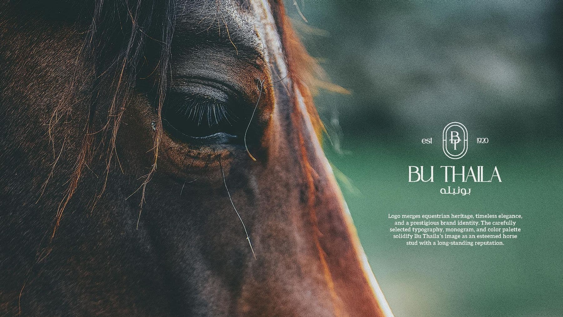 Bu Thaila Equestrian Brand Identity — Image 1
