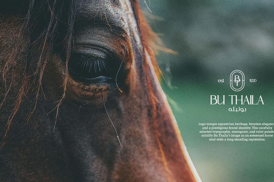 Bu Thaila Equestrian Brand Identity — Cover