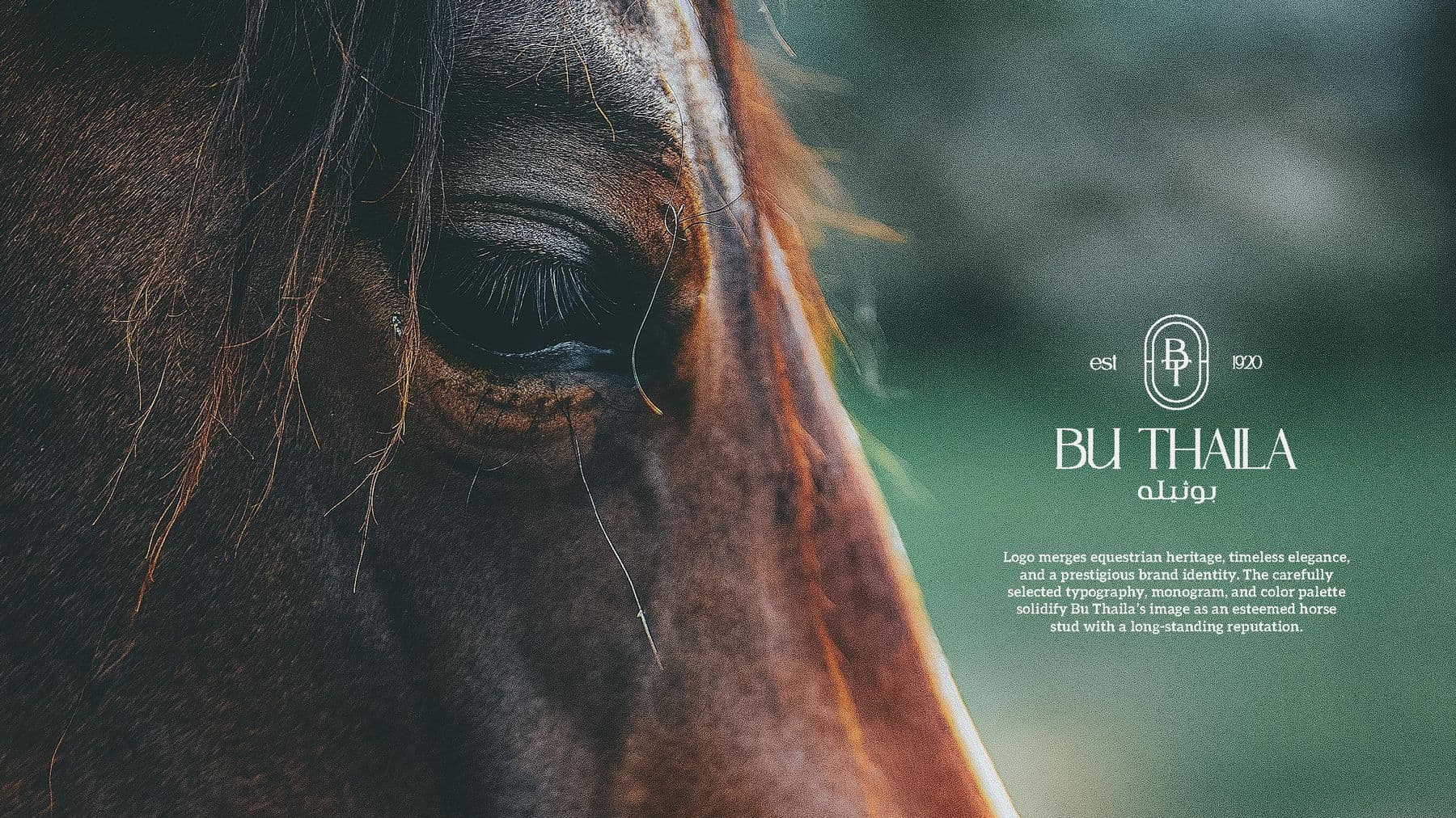 Bu Thaila Equestrian Brand Identity — Image 1
